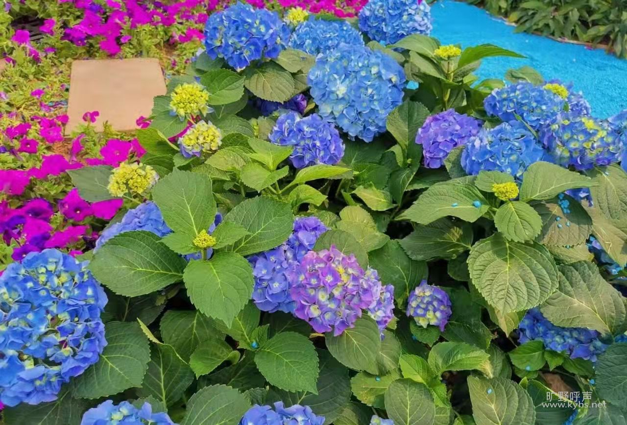 �������룬��������