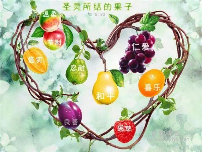  ʥ��Ĺ���֮һ���ʰ�