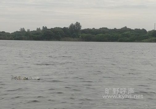 ΢С˵�����ڰ��ϵ�С����