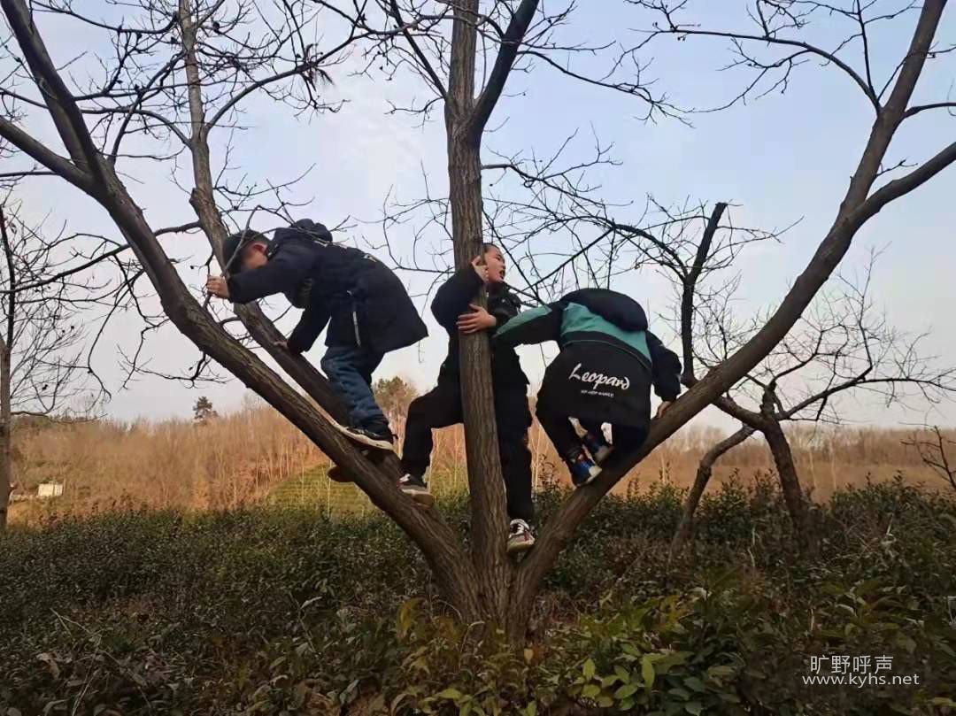 �����Ӽǣ�ϲ���ּ����ջ�����