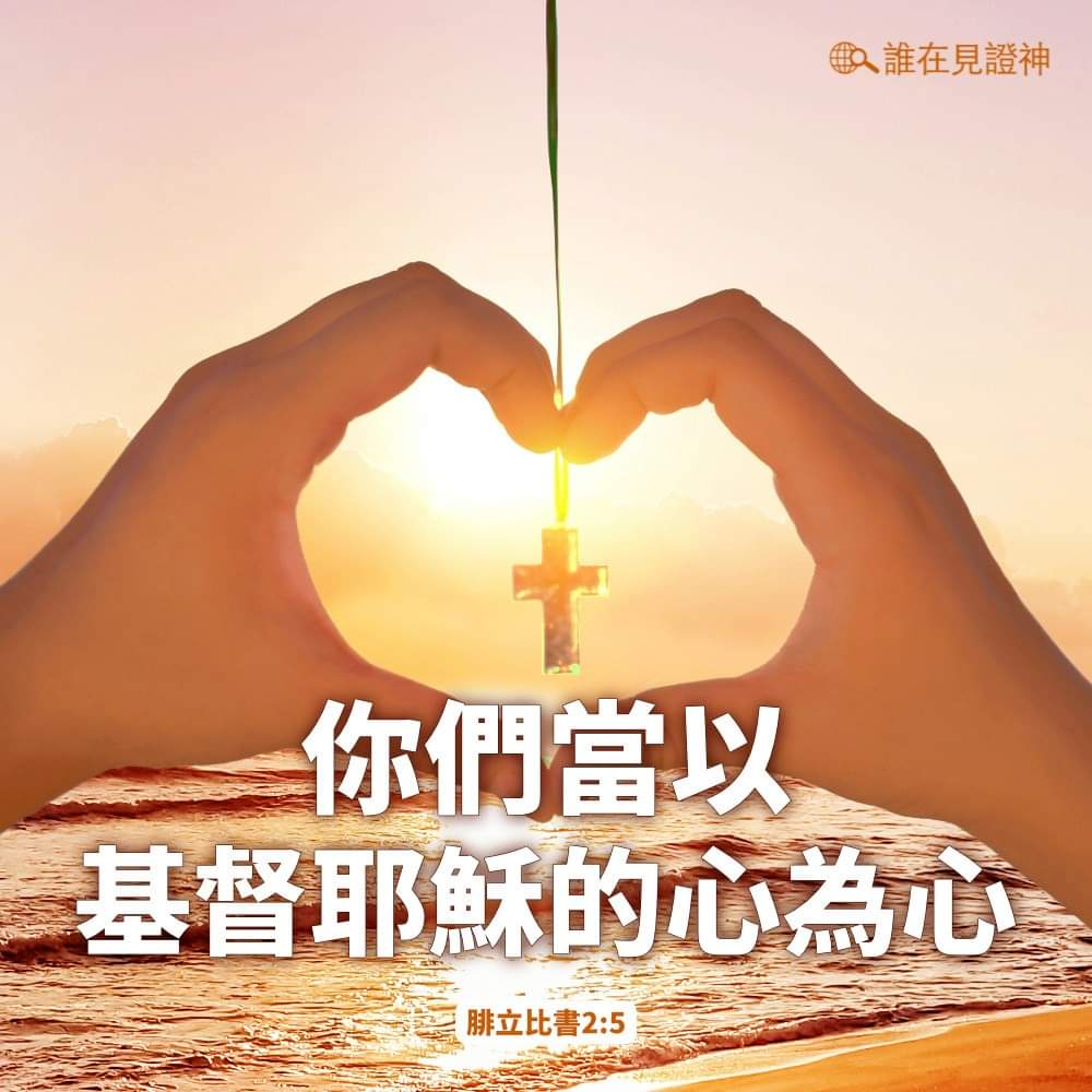 �Ի�������Ϊ��..