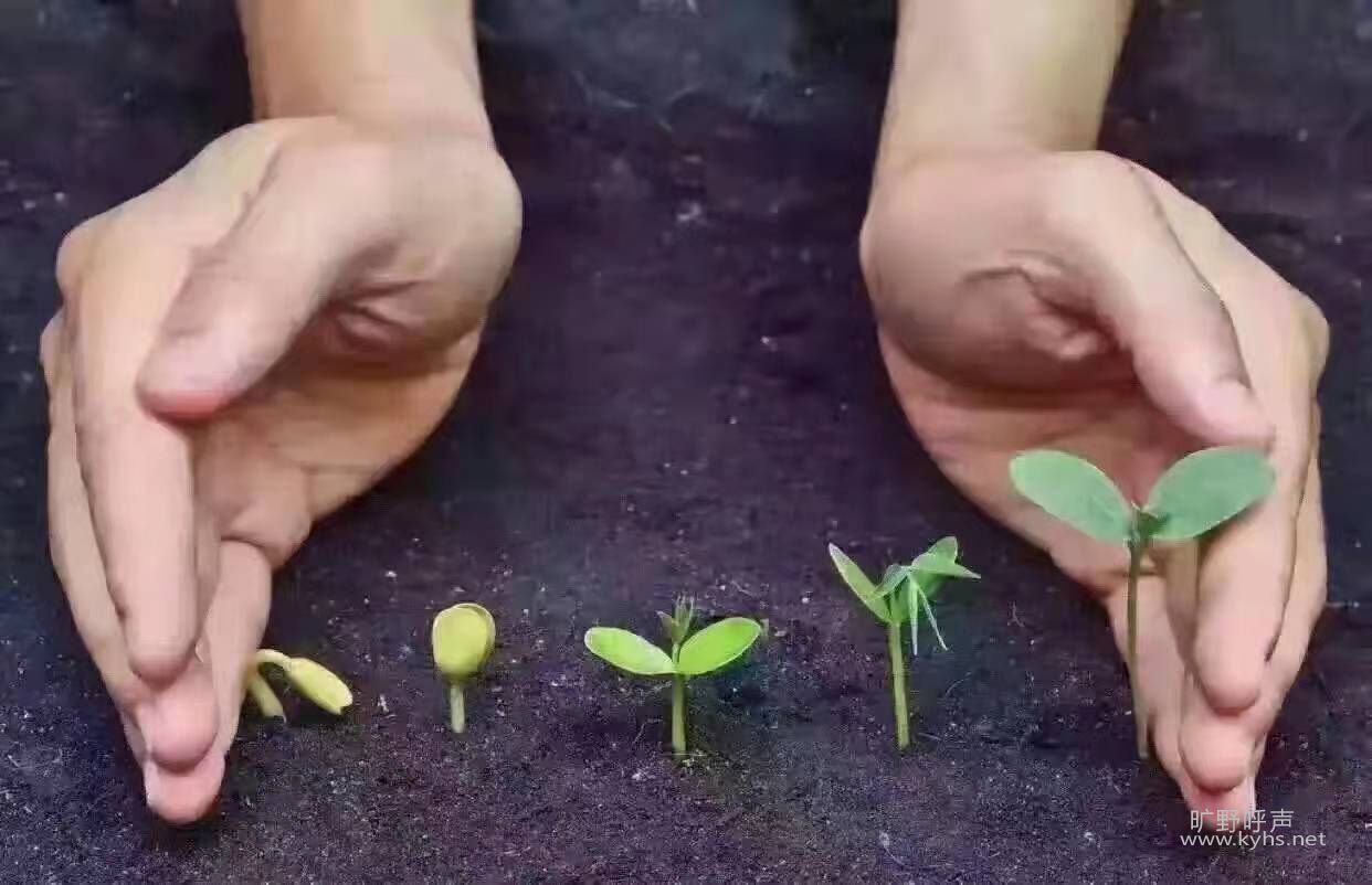 ���ѵȺ���ס���