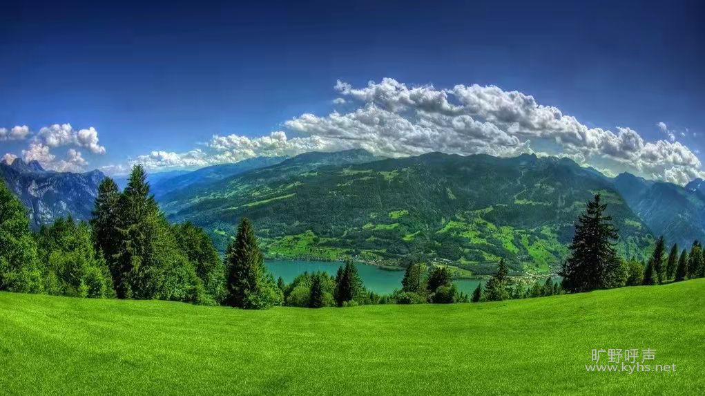 �k����ʱ�����ڸ�ʲô��