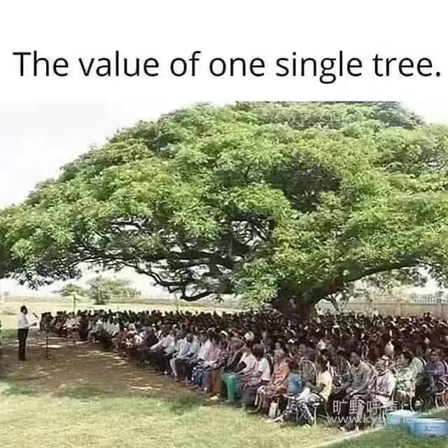 ���ǵļң��ǣ����������ḻ��