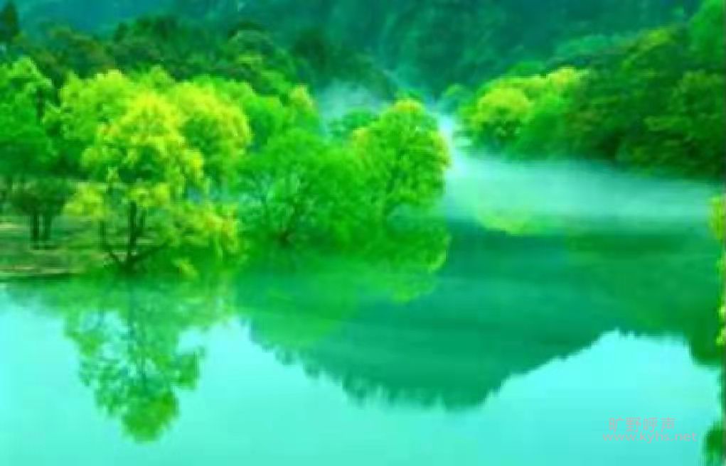 �컯���棬��������