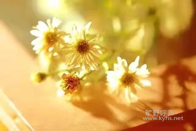 ���������о��ģ�����Ѱ���