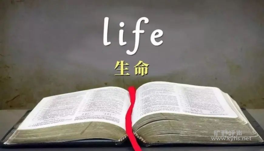 ����������ΰ����ǻۣ�