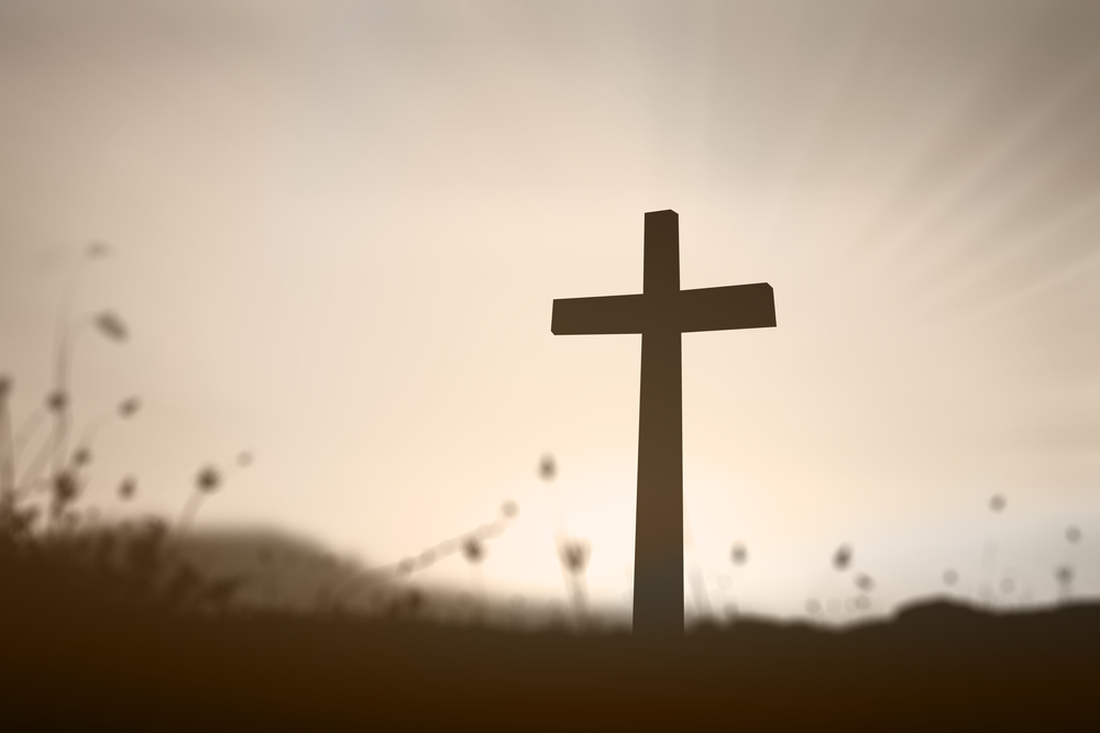 ����ί��