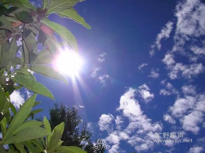 ����2022-06-24 ����9.21.21.png