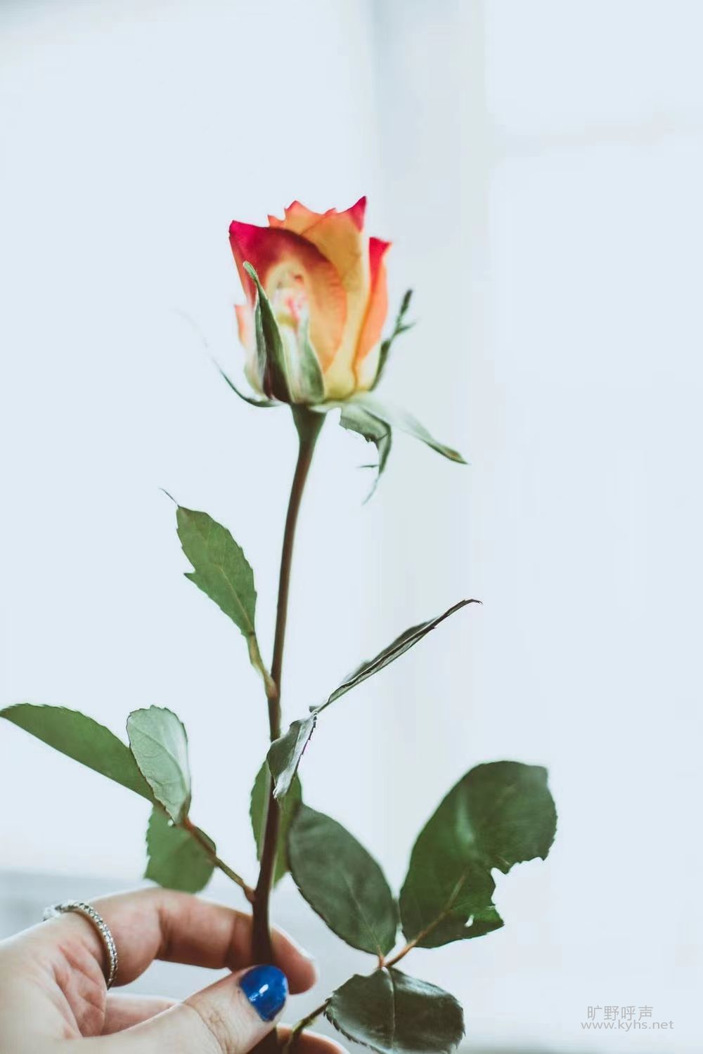 �õ�����������Ȼ��ʧȥ����