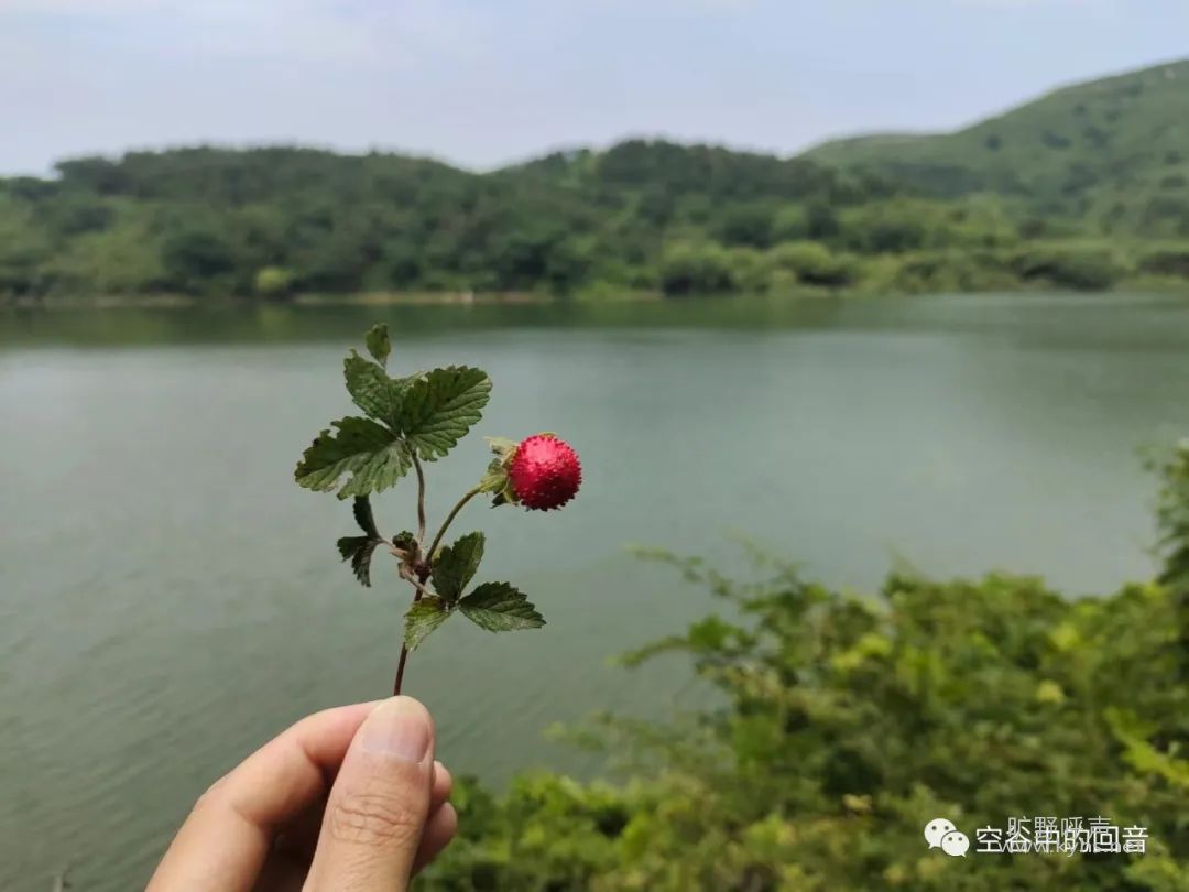 �����ῴ���׵Ḷ́ܽ�