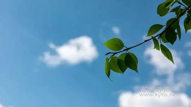 �����ദҪ�������Ĳ���