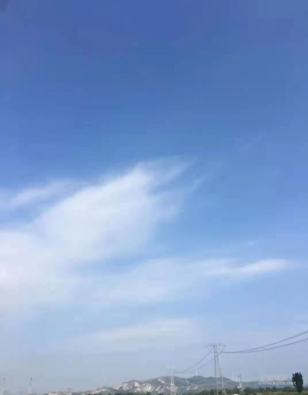 ΢��ͼƬ_20090123052817.jpg