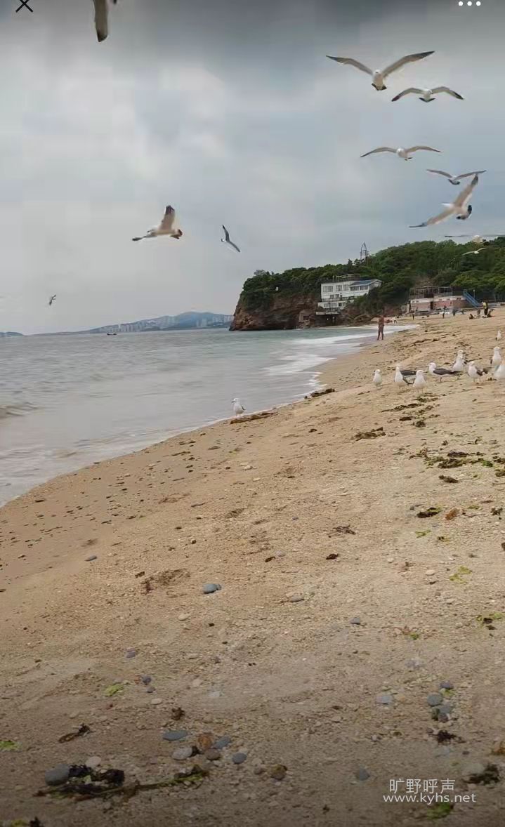 �ð���Ϊ����������