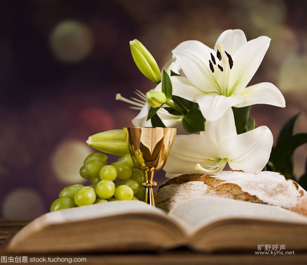 �ڸ�����ְ��������