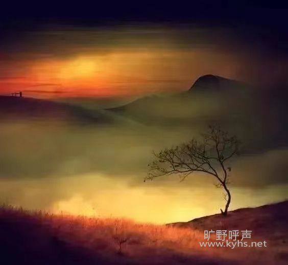 һ�����õ�����