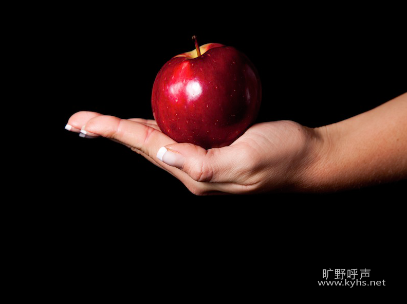 截屏2022-08-06 下午4.23.41.png