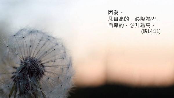 �õ�������Ϊ�塱�ļ���