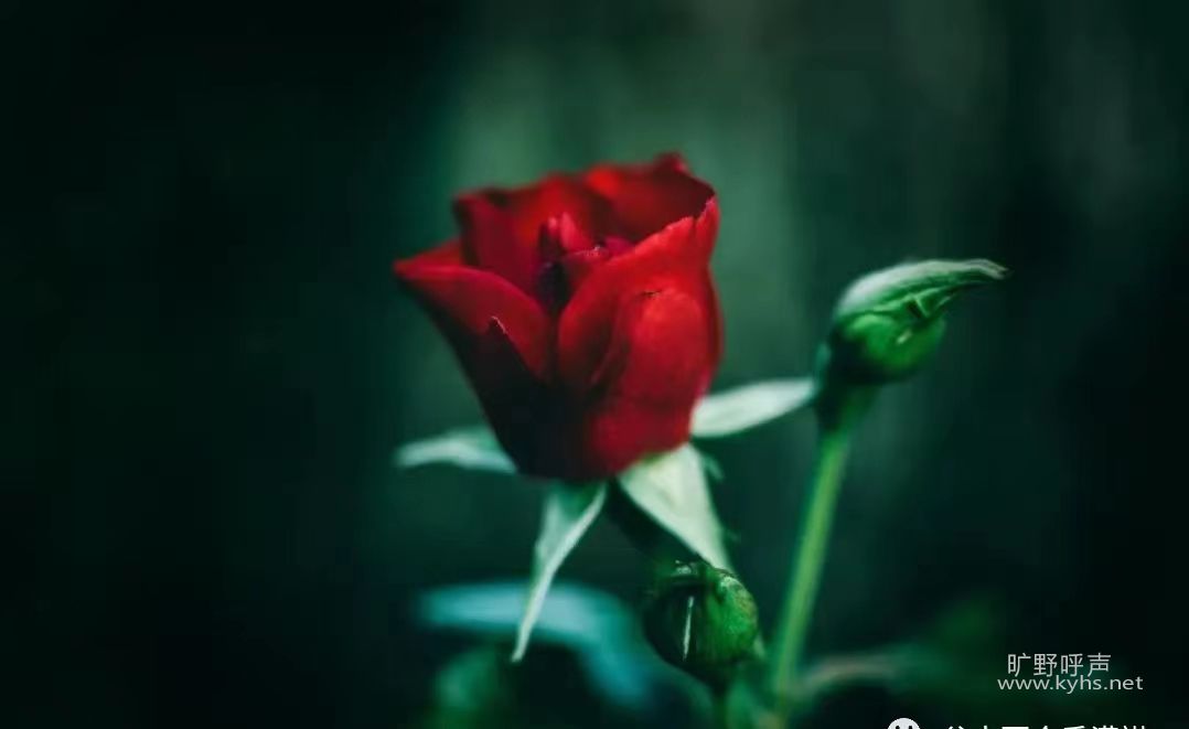 ������ֹϢ�İ�������һ���ķ��֣�