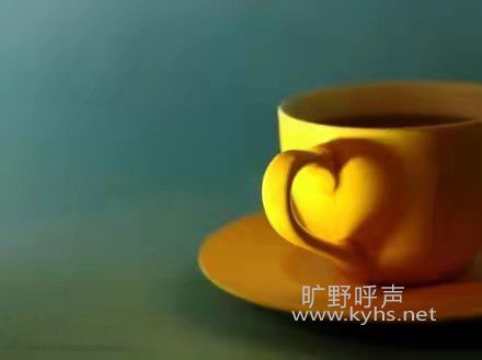 ����������Լ��ڿ�