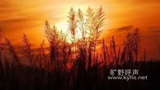΢��ͼƬ_20230116204615.jpg