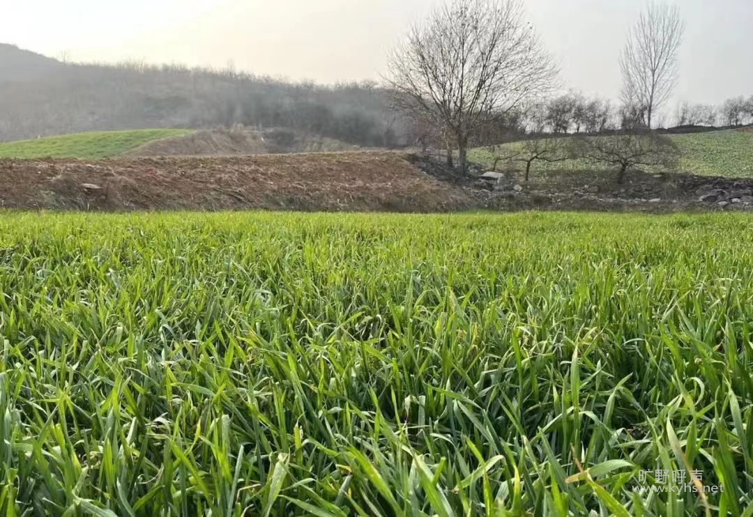  ��һ�У��ս���ȥ��