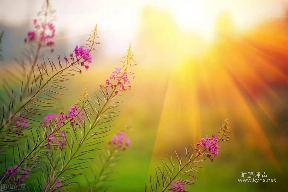 �µ�һ�꣬�����ǻ۵���