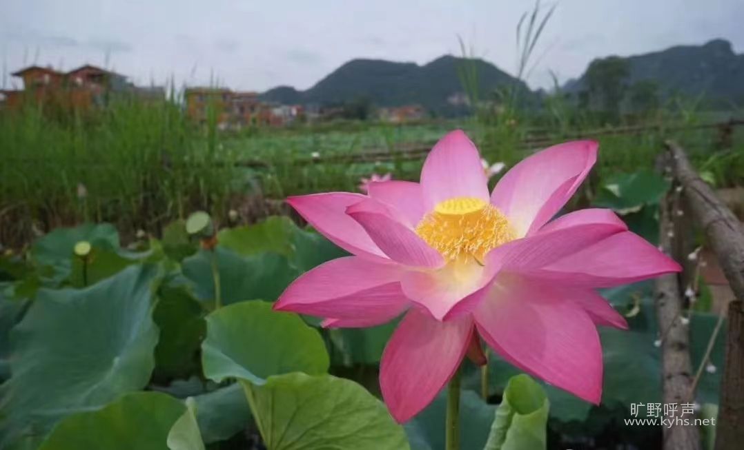 ��ɿ��ֻ��츮��