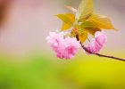 �質�ڻؼҵ�·��