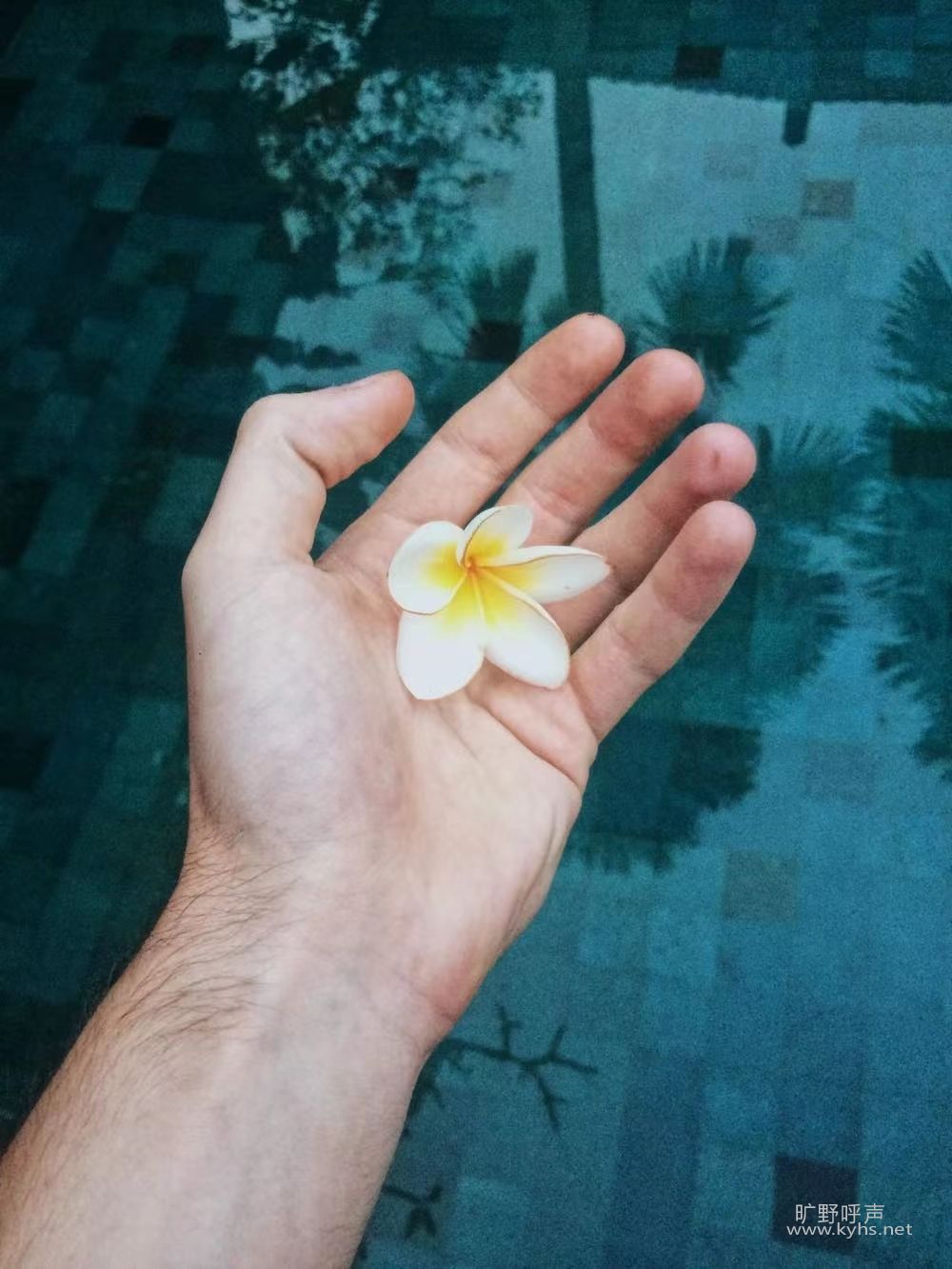 ��һ�п����У���Ҳͬ�ܿ���