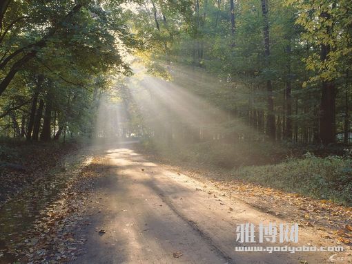 ��ж�°�����1��Ϊ��ж�°���