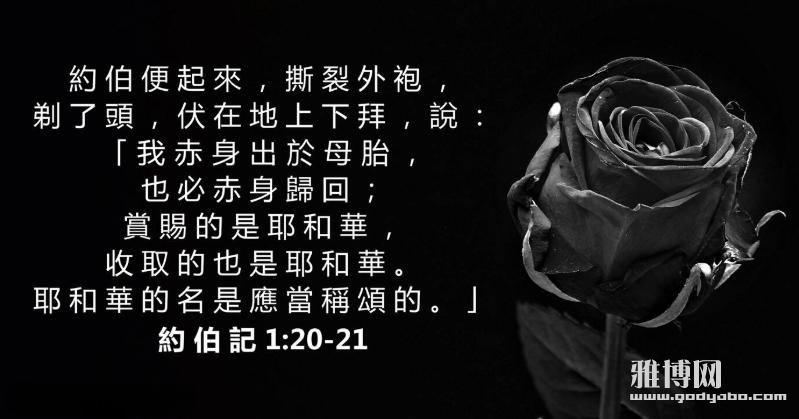 ����2023-06-15 ����8.46.09_����.png