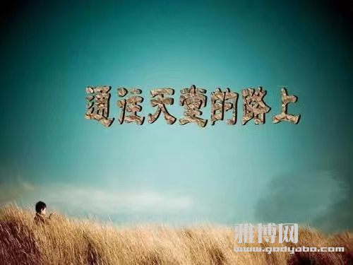 ���¸��е���Ӧ�ö��ý����ã�