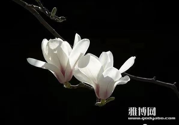 ��Ҫ�����Լ������Ƕ��ص�