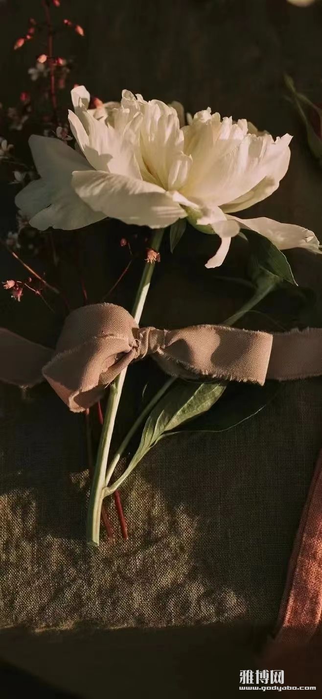 ΢��ͼƬ_20230810085715.jpg