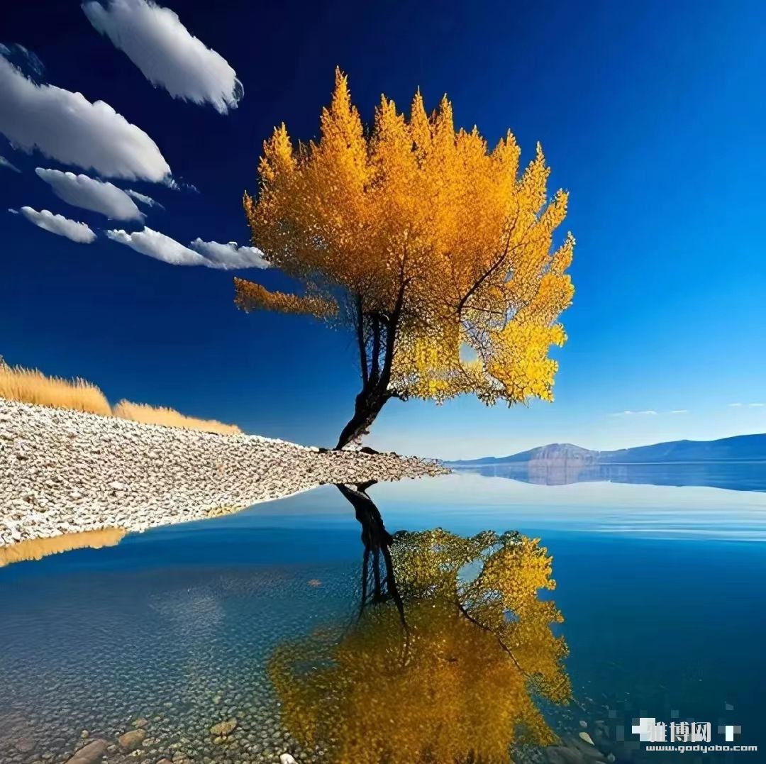 �����ˣ���Ҫɵ�������Լ�����ȫ������