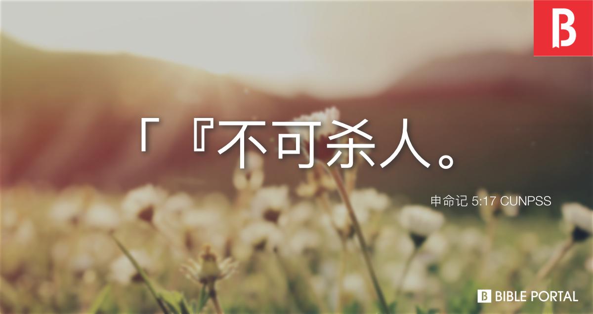 �����룺����ɱ��