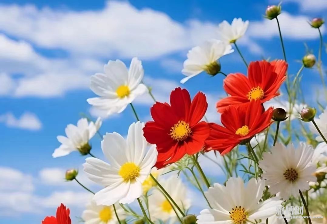��ס�Լ����죬��ס�Լ��ĸ����������Լ������ӣ�