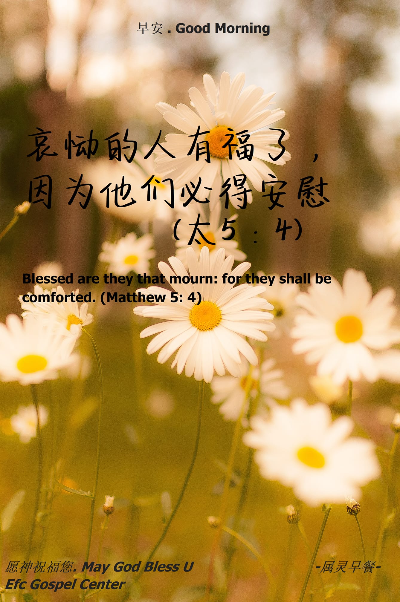 �������硢�������