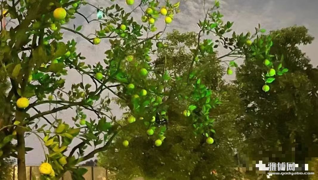 ̰�Ƶ���Ҫ����