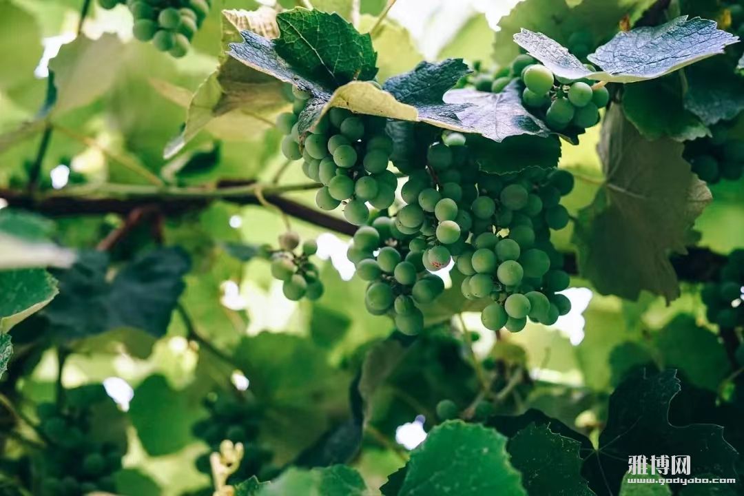 ΢��ͼƬ_20231114051008.jpg