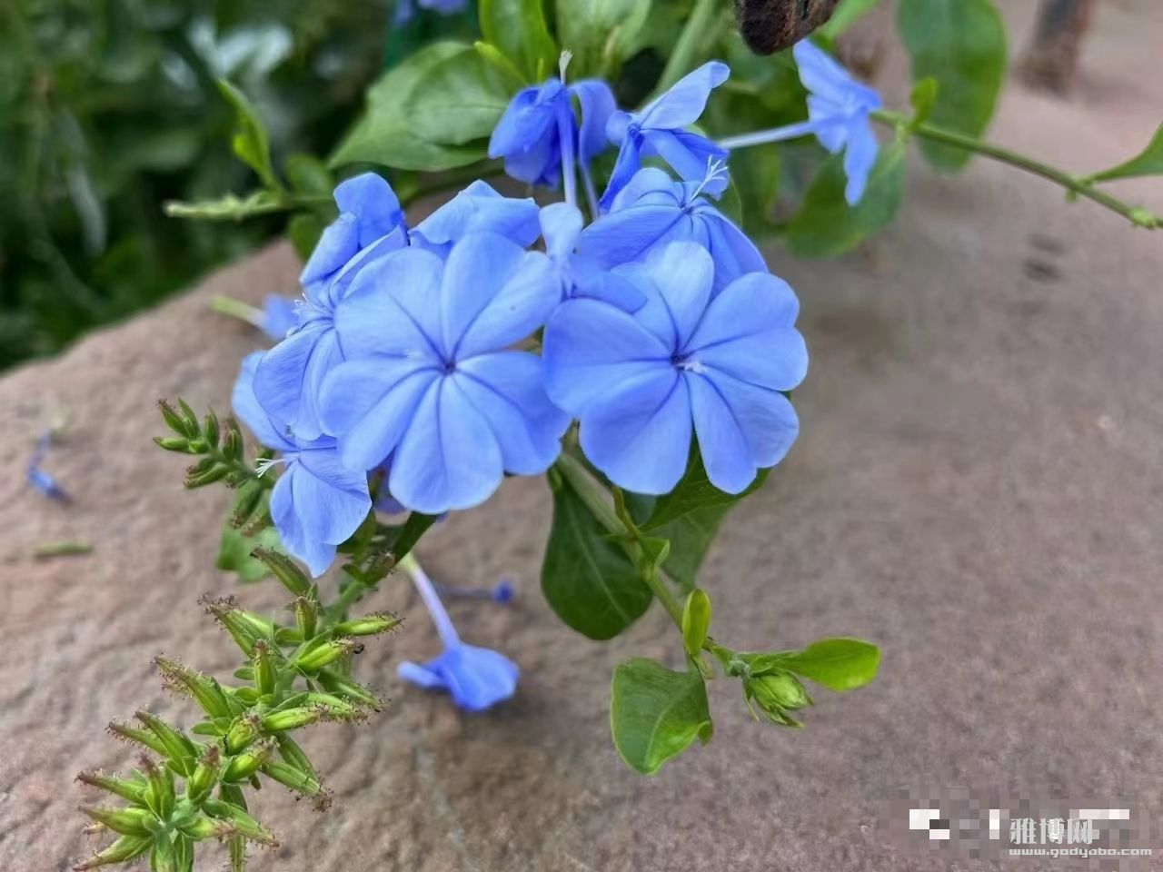  Ϊ�Լ�����