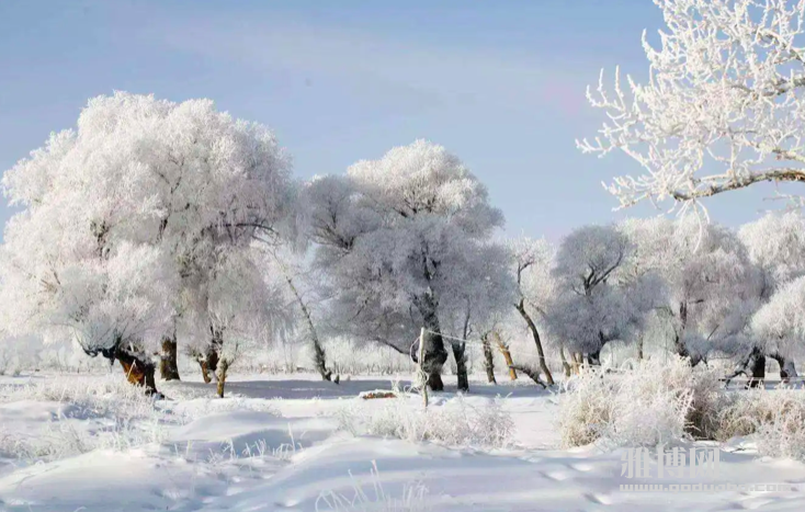 ����2023-12-01 22.02.36.png