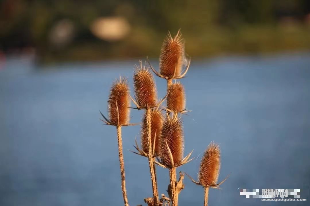 �����ģ��������У�����¤����ˮ��������ת