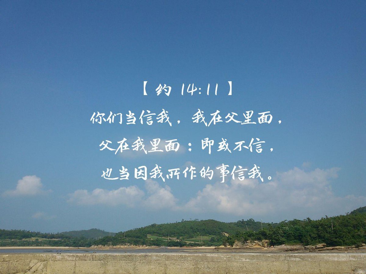 ���ǵ����ң������ţ�Ҳ������������������