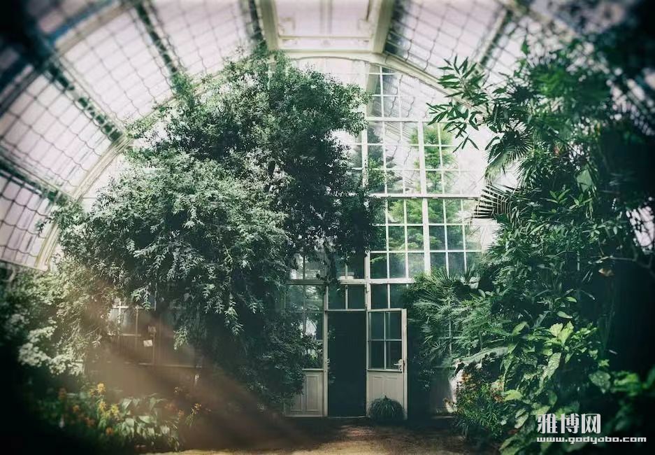 �µ�һ�꣬һ�ж�����