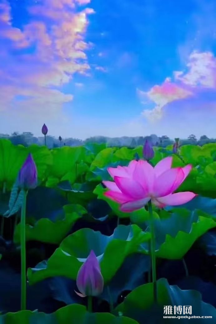 ����뾭��һЩʹ�࣬���ǲŻ����