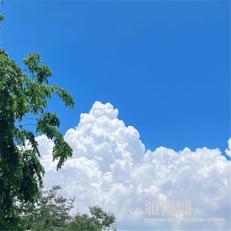 ����Ǯ�Ƶļ��仰