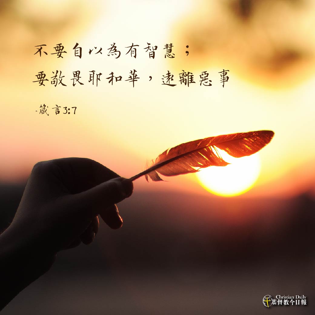 ���ǻ���ѧϰ���������������Ϊ�ǻ۵��ˣ�