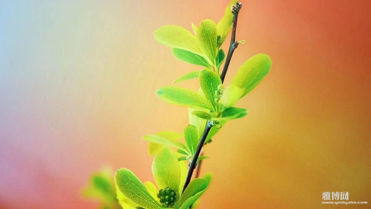 ��һ�ֵ��K���� ��������